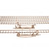Model Set of rails with crossings